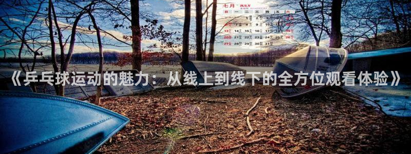 《乒乓球运动的魅力：从线上到线下的全方位观看体验》